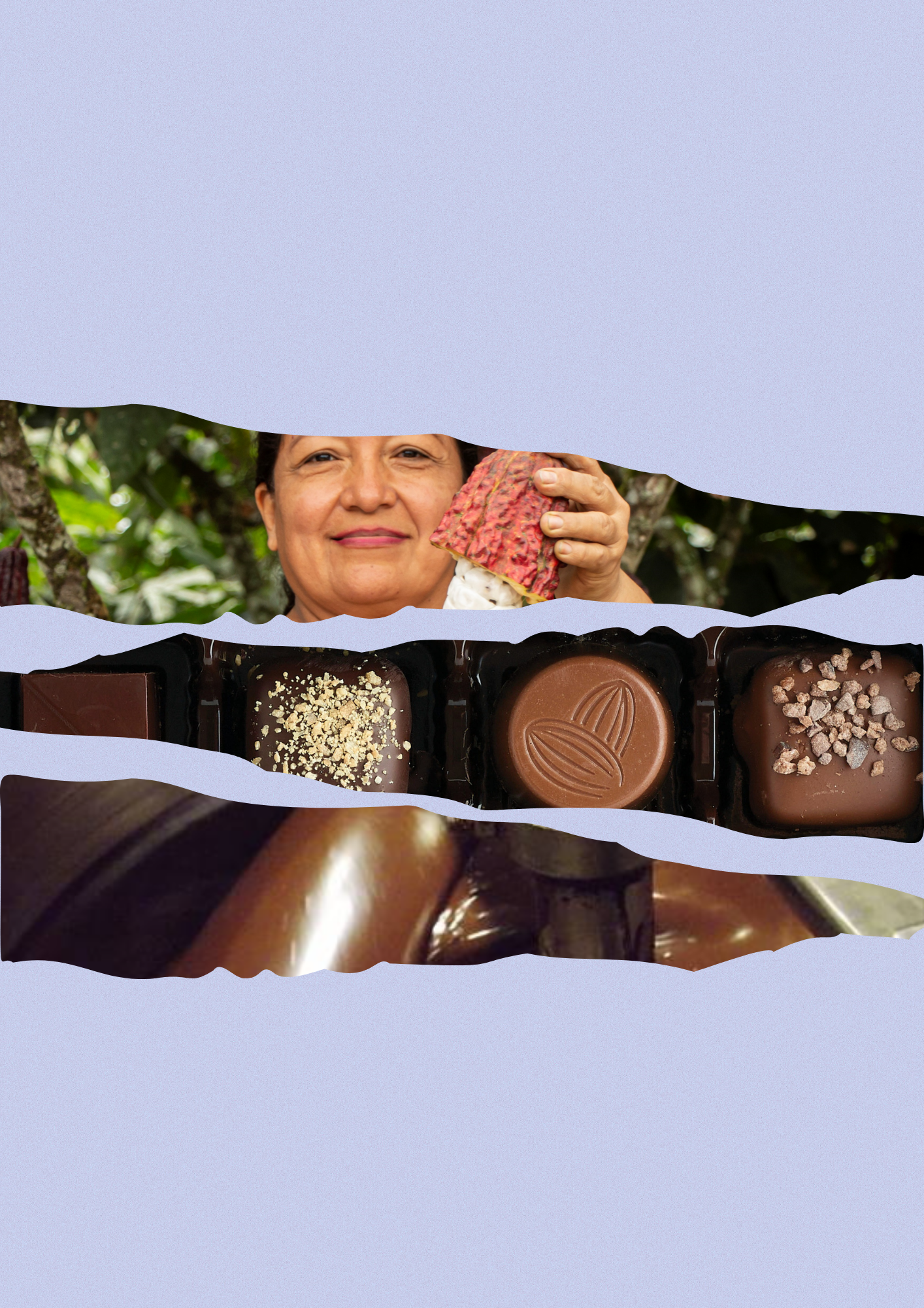 <strong>From bean to bonbon: a guide to the chocolate-making process</strong>